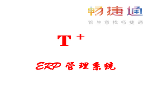 用友ERP-T+系统