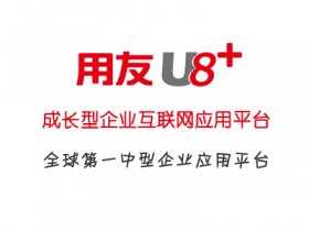 用友U8财务软件